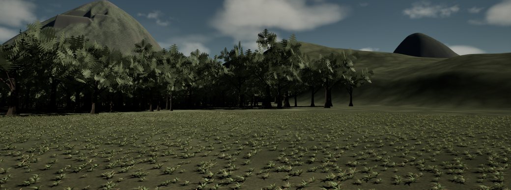 canopy near wave3