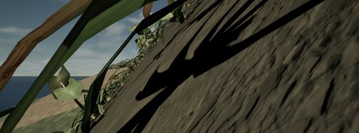 canopy vista wave3