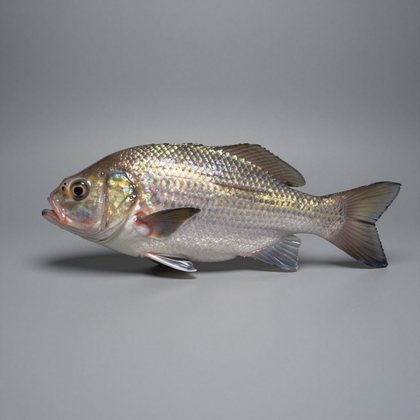 object reference