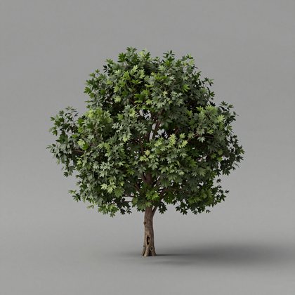 object reference