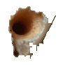 object reference