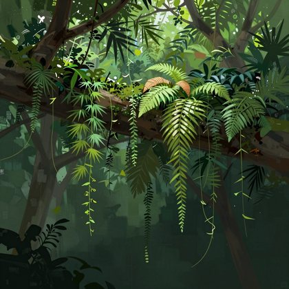 canopy route height read